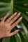 woman-showing-her-nail-art-fingernails-against-monster-leaf